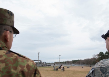 Bad bite to the bone