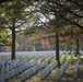 Fall 2017 - Arlington National Cemetery