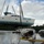 A catamaran labeled 'SEA-130' is being lifted by crane straps above a harbor filled with damaged and partially sunken sailboats, suggesting post-storm or post-hurricane salvage operations. Multiple vessels are visibly wrecked, capsized, or partially submerged in the calm harbor waters. The scene indicates significant marine disaster recovery efforts in a tropical or subtropical location.