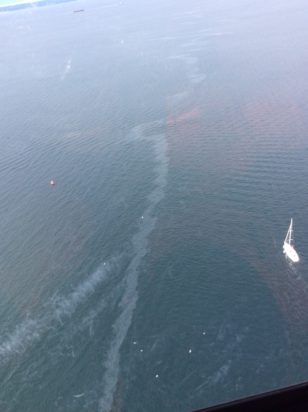 Coast Guard helicopter crew shows location of sunken vessel and oil sheen near Shilshole Bay Marina in Seattle