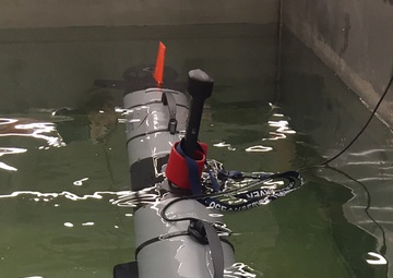 US deploys unmanned submersibles in Argentine submarine search