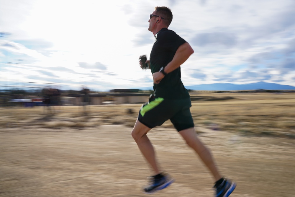 Turkey trotters tuck toward Thanksgiving