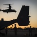 801st SOAMXS ensure Ospreys mission readiness