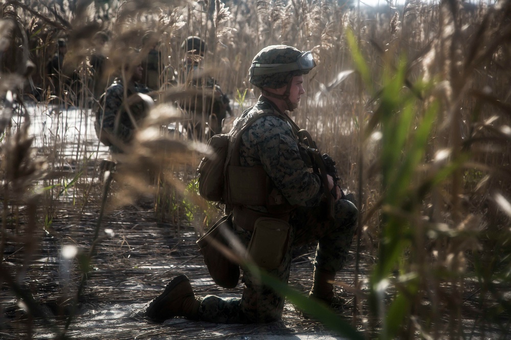 Fox Co. Conducts Mechanized Raid during COMPTUEX