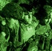 Fox Co. Conducts Mechanized Raid during COMPTUEX