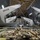 Mobility aircraft deliver equipment and expertise to Argentina Mobility aircraft deliver equipment and expertise to Argentina