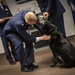 From playful puppy to protecting Airmen: How the Air Force raises MWD’s