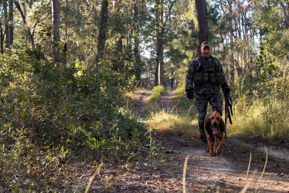 347th Rescue Group initiates new medical, survival training