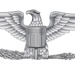 O-6 Colonel Eagle