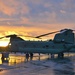 CH-47 Chinook Helicopters During Sunset