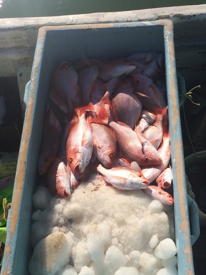 Coast Guard interdicts lancha crew illegally fishing in US