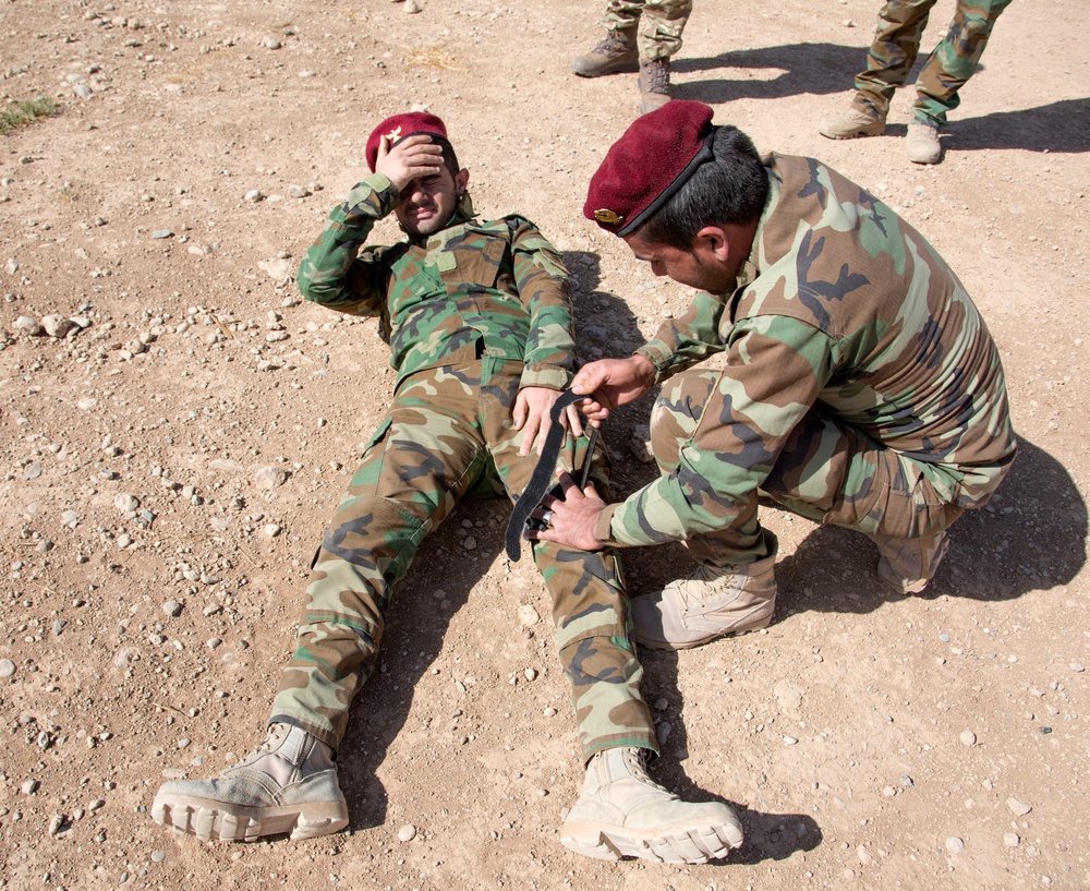 Peshmerga proficiency training