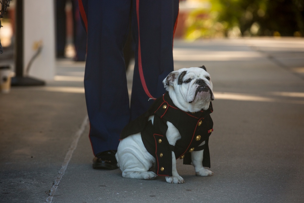 Mascot earns title on Parris Island