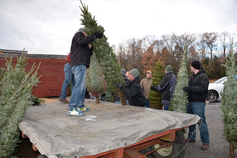 New York National Guard volunteers for Trees for Troops
