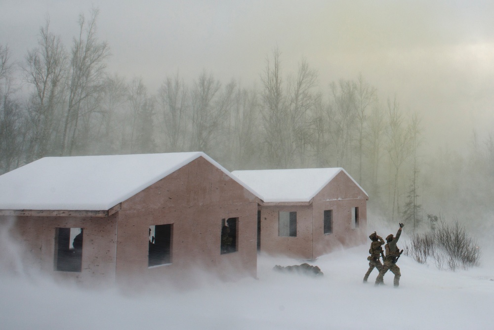 Alaska Air National Guard and Alaska Army National Guard cooperate for mass-casualty training exercise at JBER