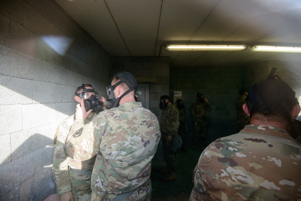 650th MI GP build M50 Mask confidence with AFNORTH instructor