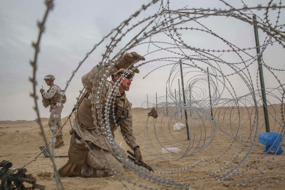 BLT 1/5 conducts live-fire platoon level attacks