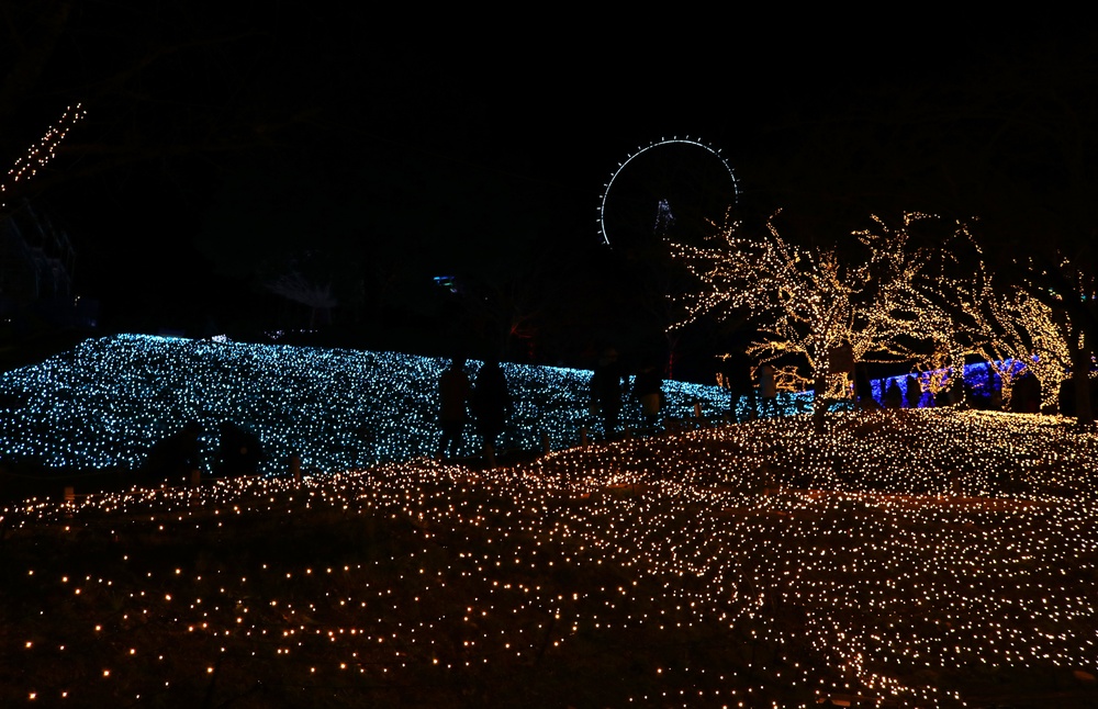 Sagamiko Resort: Winter Illumination