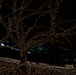 Sagamiko Resort: Winter Illumination