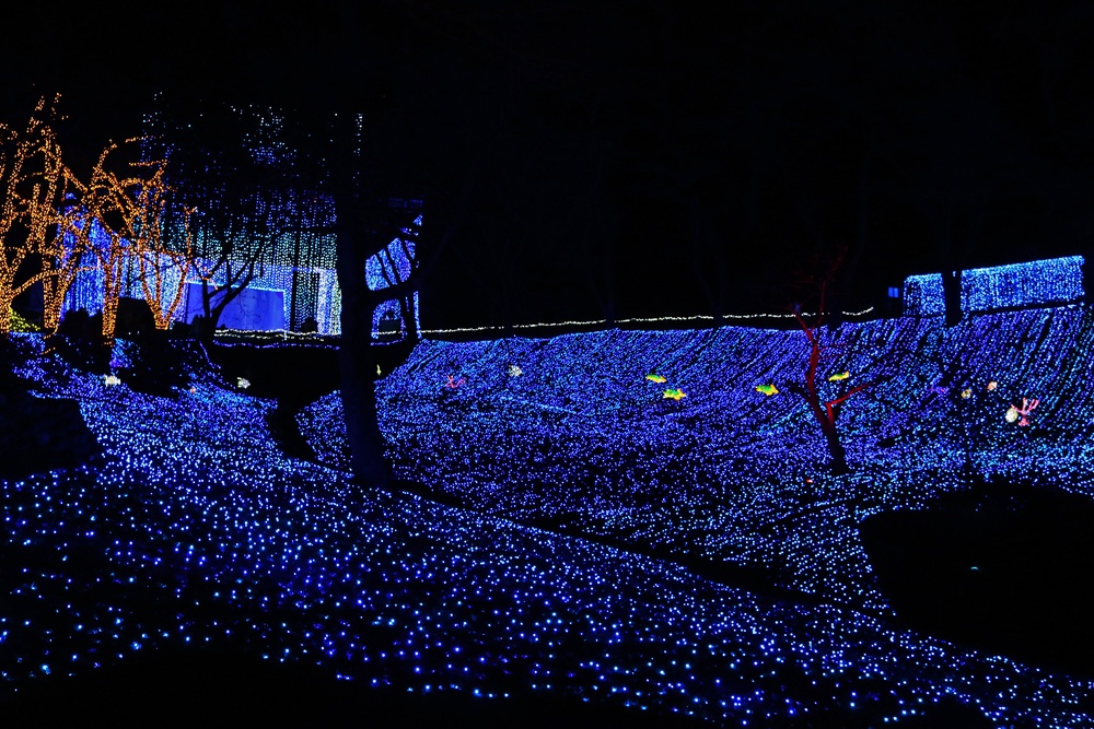 Sagamiko Resort: Winter Illumination