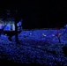 Sagamiko Resort: Winter Illumination