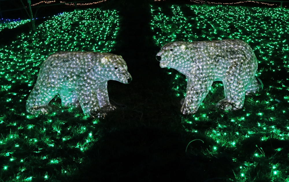 Sagamiko Resort: Winter Illumination