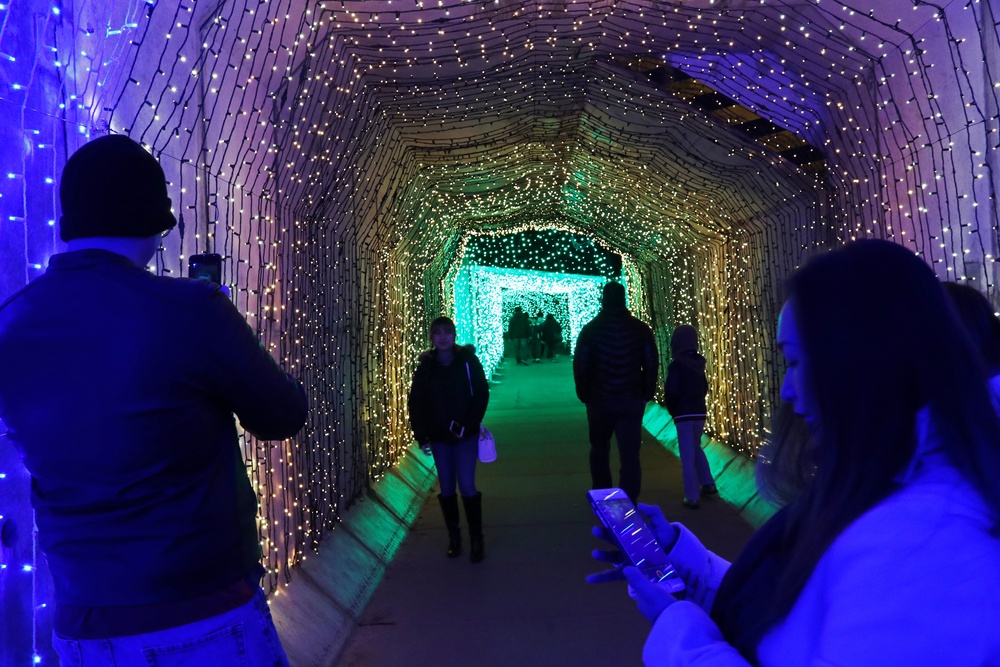 Sagamiko Resort: Winter Illumination