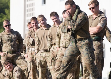 Force Integration Training