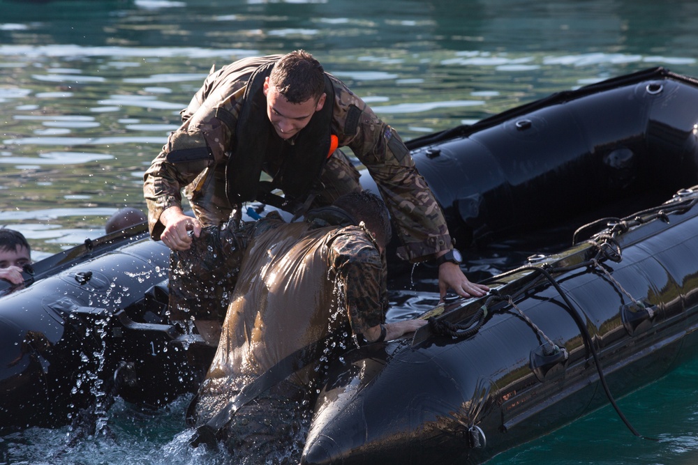 Force Integration Training