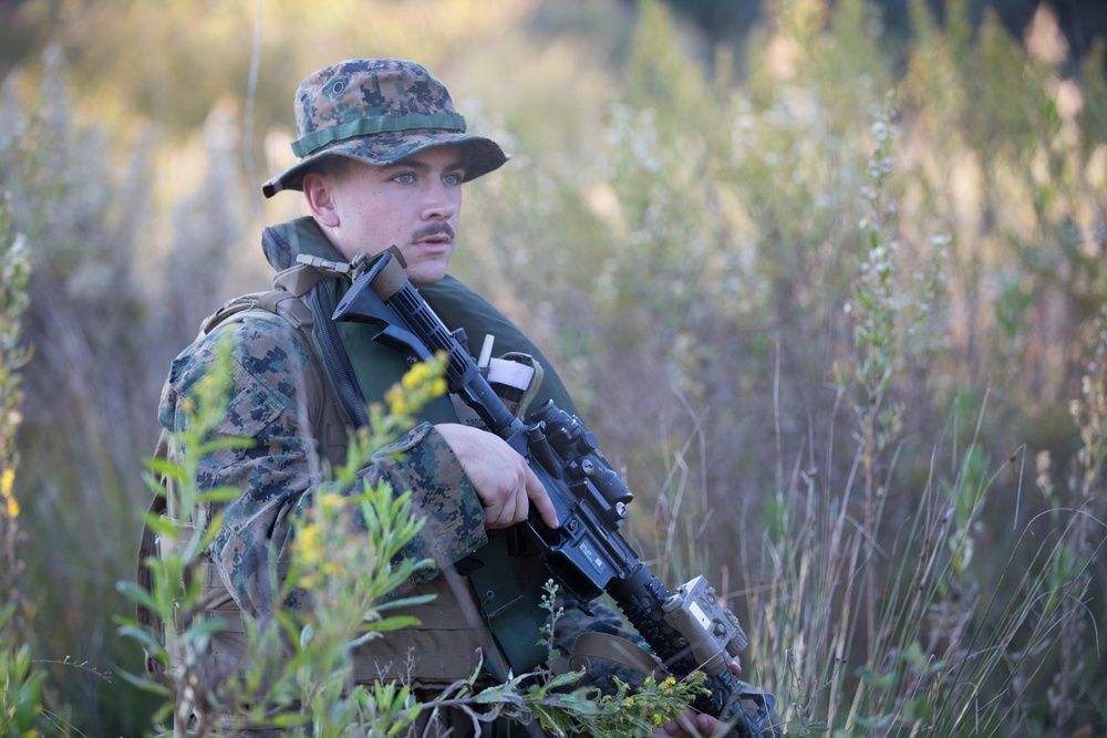 Force Integration Training