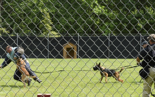 K-9 Training