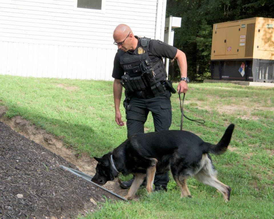 K-9 Training