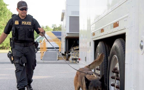 K-9 Training