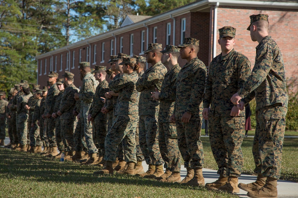 Military Working Dog Demonstration