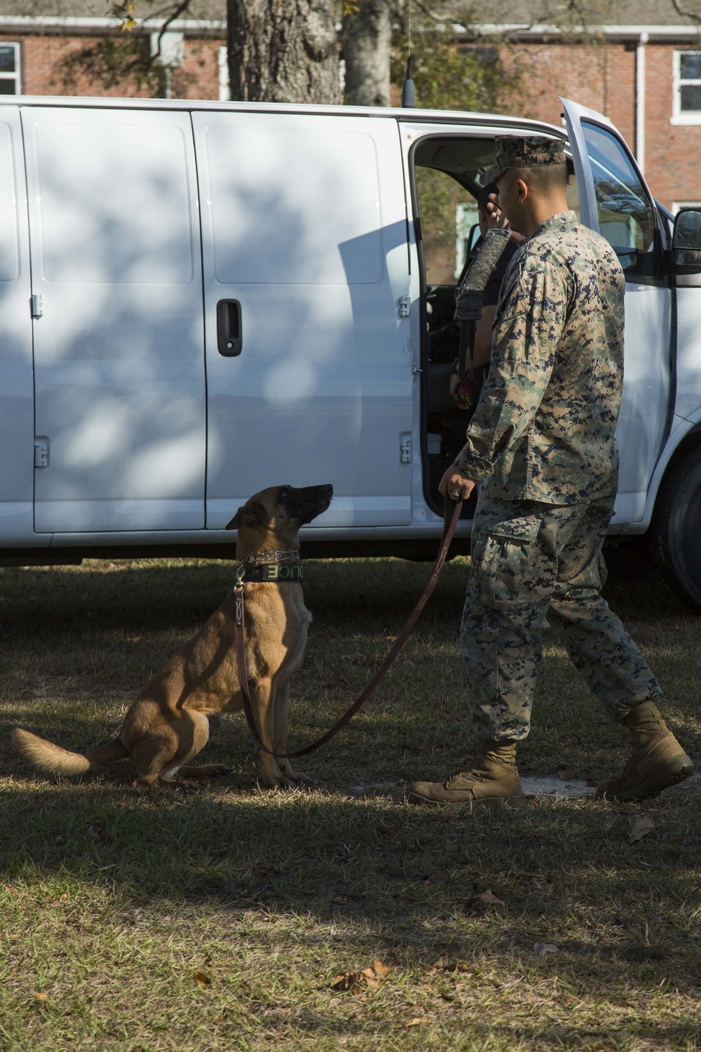 Military Working Dog Demonstration