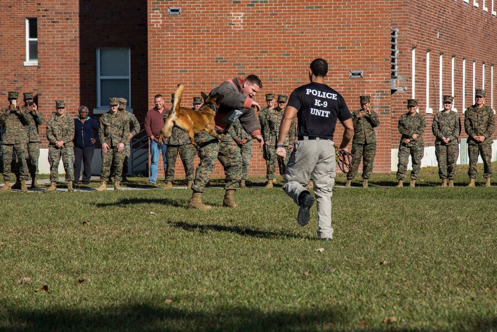 Military Working Dog Demonstration