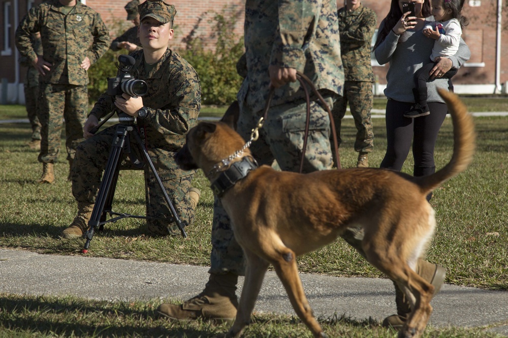 Military Working Dog Demonstration