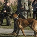 Military Working Dog Demonstration