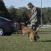 Military Working Dog Demonstration