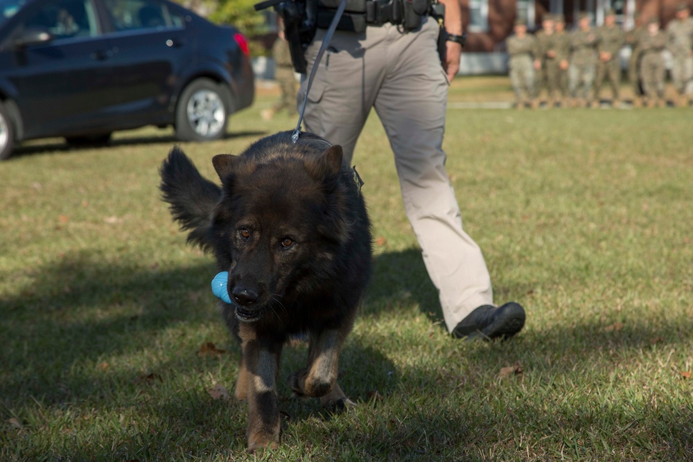 Military Working Dog Demonstration