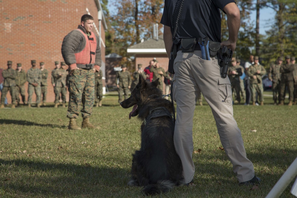 Military Working Dog Demonstration