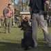 Military Working Dog Demonstration