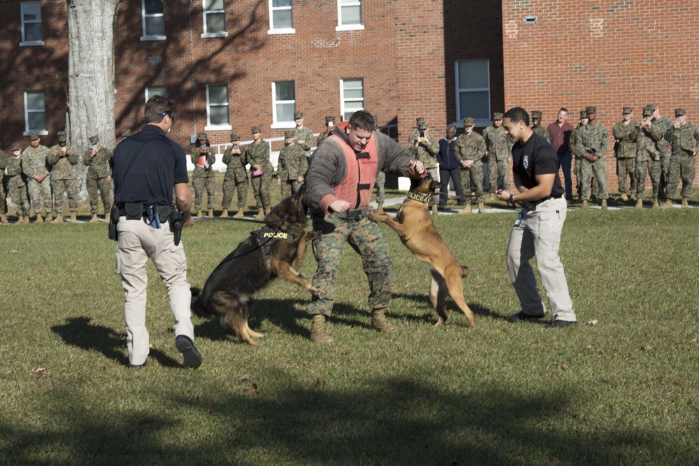 Military Working Dog Demonstration