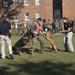 Military Working Dog Demonstration