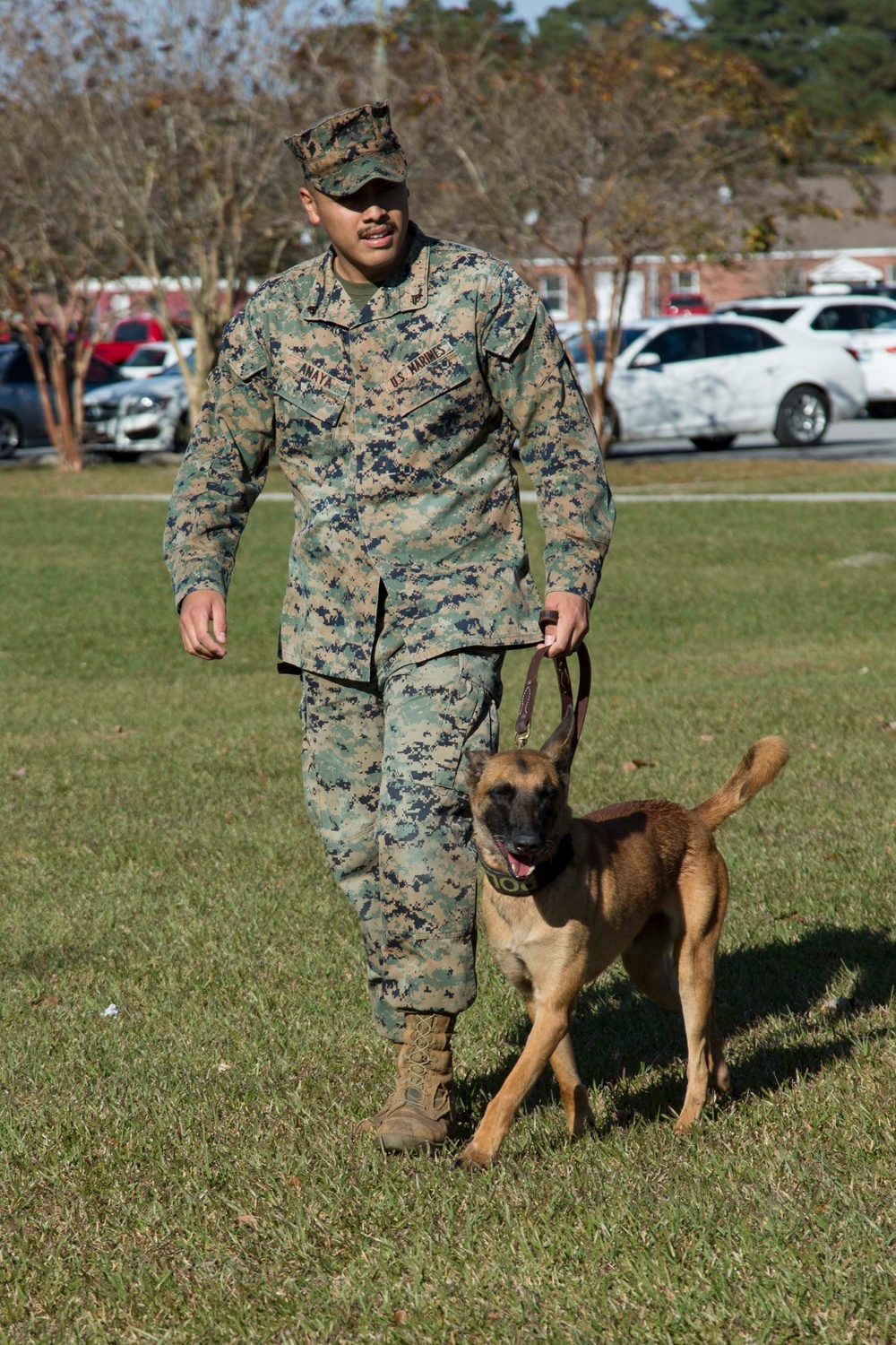 Military Working Dog Demonstration