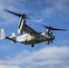 Marines fast rope with a MV-22B Osprey in Okinawa