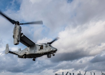 Through Thick and Thin | U.S. Marines and Sailors having each other’s backs since 1775