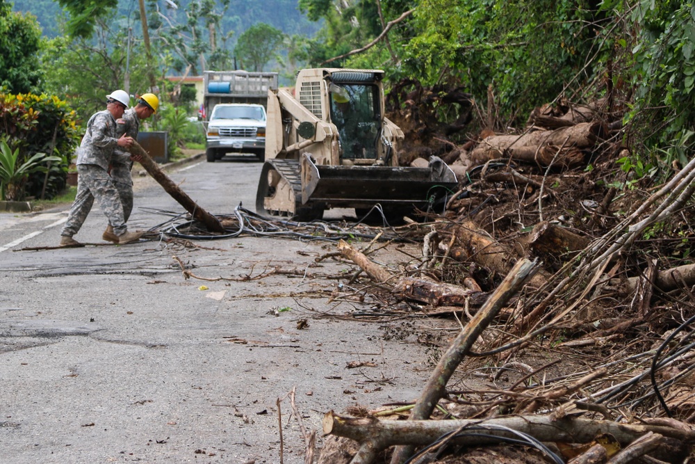 Arecibo Road Clearance
