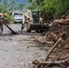 Arecibo Road Clearance