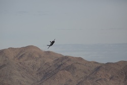 USAF F35’s train at the National Training Center
